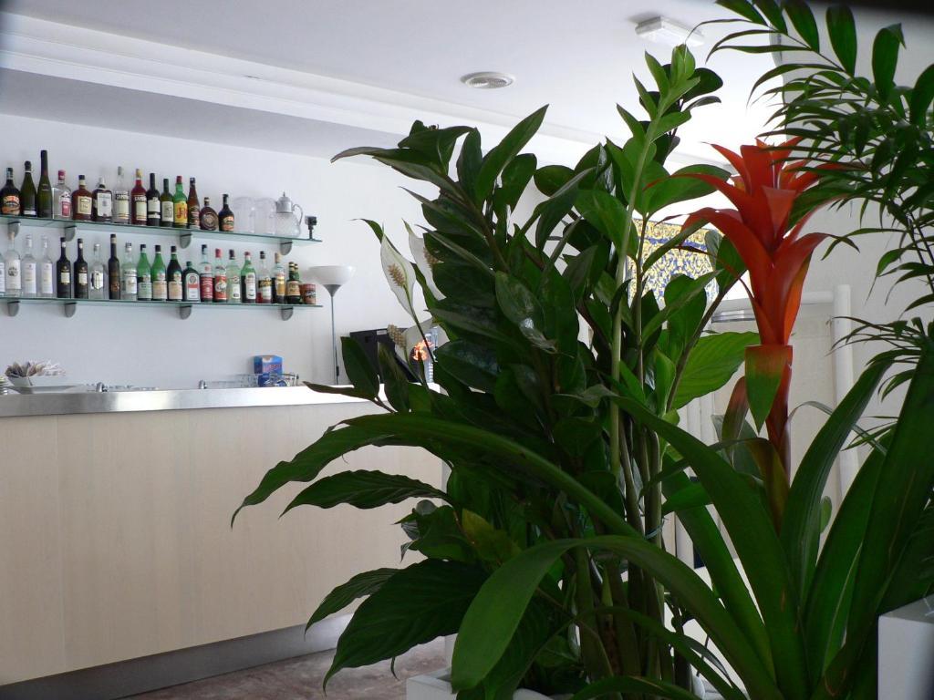 Hotel Haiti Milano Marittima Exterior foto